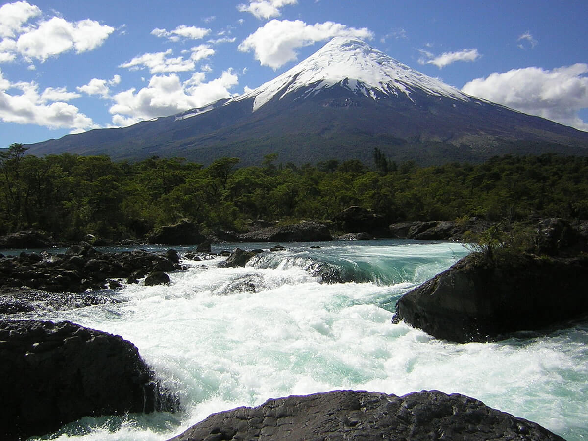 Bosques Templados Lluviosos: Preserving Chile's Natural Heritage | LAC Geo